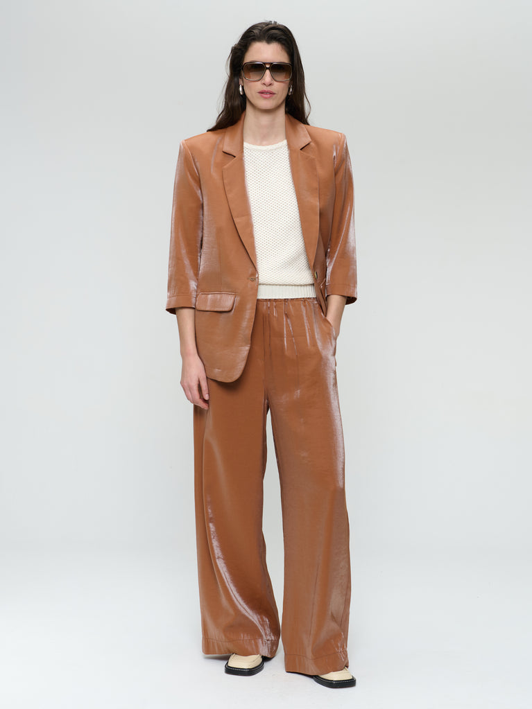 CharlyN shiny viscose pants | Brown