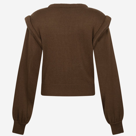 Les Coyottes Pullover | Brown